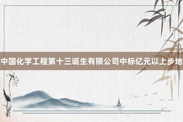 中国化学工程第十三诞生有限公司中标亿元以上步地
