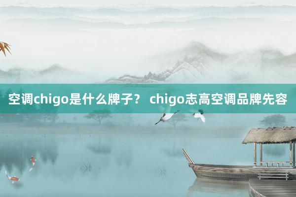空调chigo是什么牌子？ chigo志高空调品牌先容